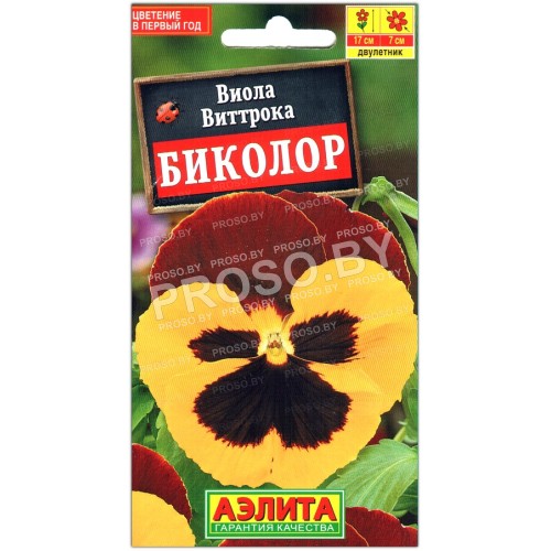 Виола виттрока Биколор