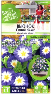 Вьюнок Синий флаг