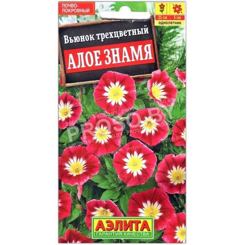 Вьюнок трехцветный Алое знамя