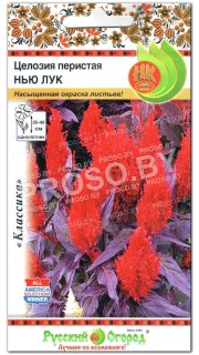 Целозия перистая Нью лук