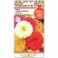 Цинния Калифорнийские гиганты