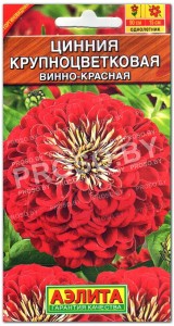 Цинния Винно-красная