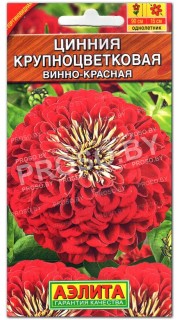 Цинния Винно-красная