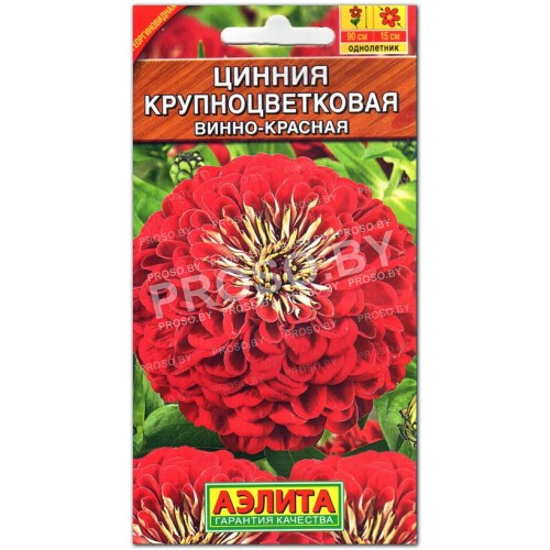 Цинния Винно-красная