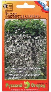 Дихондра Изумруд в серебре