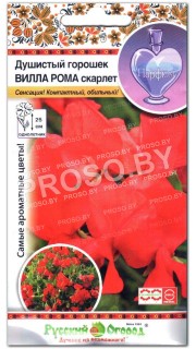 Душистый горошек Вилла Рома скарлет