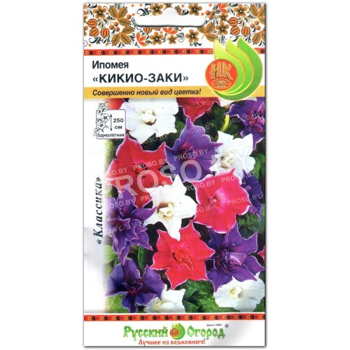 Ипомея Кикио-заки, смесь-1