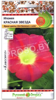Ипомея Красная звезда