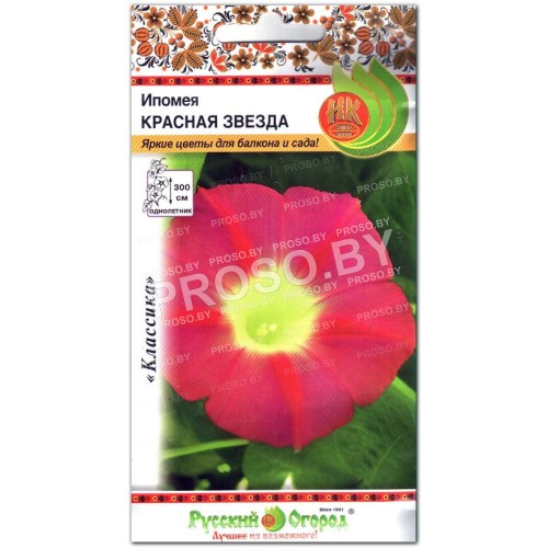 Ипомея Красная звезда