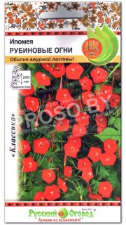 Ипомея квамоклит Рубиновые огни