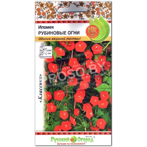 Ипомея квамоклит Рубиновые огни