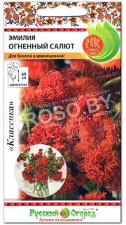 Эмилия Огненный салют