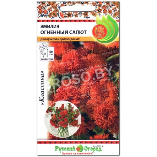 Эмилия Огненный салют