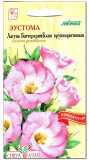 Эустома Лагуна БаттеркримБлаш