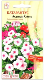Катарантус Леденцы, смесь