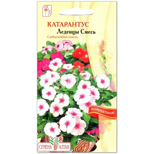 Катарантус Леденцы, смесь