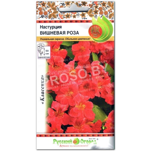 Настурция Вишневая роза-1