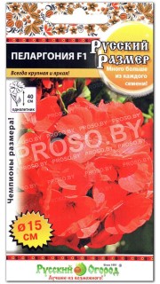 Пеларгония Русский Размер F1