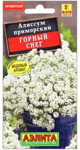 Алиссум приморский Горный снег