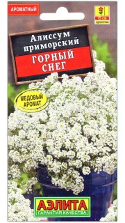 Алиссум приморский Горный снег