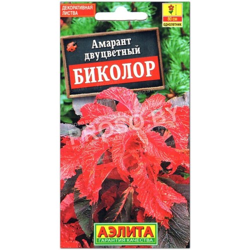 Амарант двуцветный Биколор