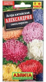 Астра Александрия, смесь