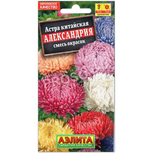 Астра Александрия, смесь