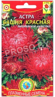 Астра Башня красная