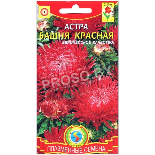 Астра Башня красная