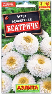 Астра Беатриче