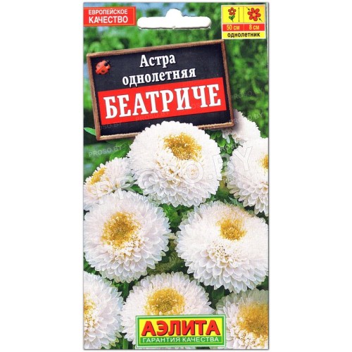 Астра Беатриче