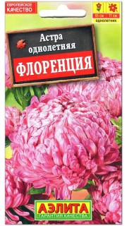 Астра Флоренция