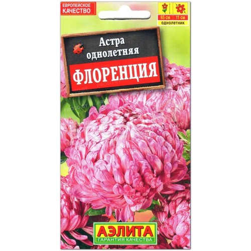 Астра Флоренция