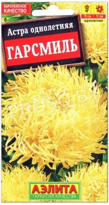 Астра Гарсмиль