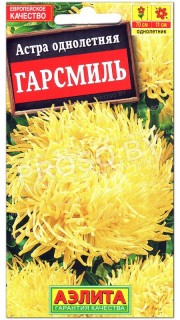 Астра Гарсмиль