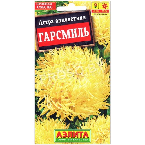 Астра Гарсмиль