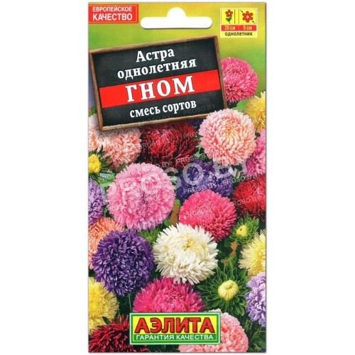 Астра Гном, смесь