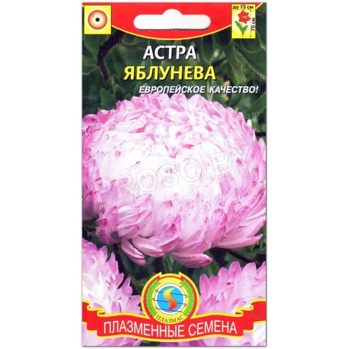 Астра Яблунева