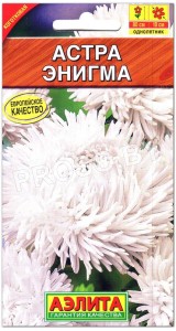 Астра Энигма