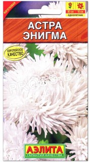 Астра Энигма