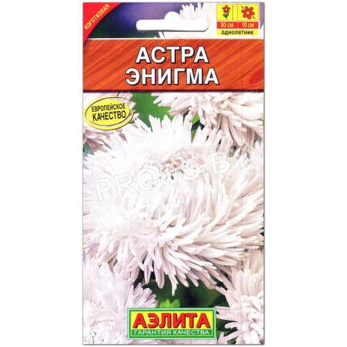 Астра Энигма
