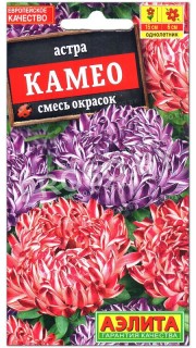 Астра Камео, смесь