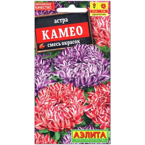 Астра Камео, смесь