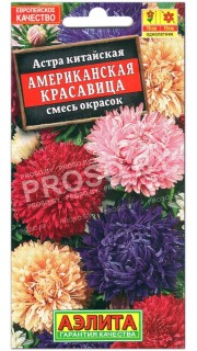 Астра китайская Американская красавица, смесь