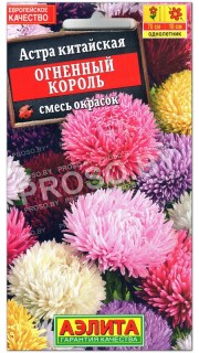 Астра китайская Огненный король, смесь