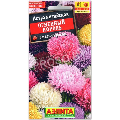 Астра китайская Огненный король, смесь