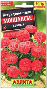Астра Монпансье красная