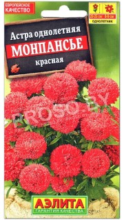 Астра Монпансье красная