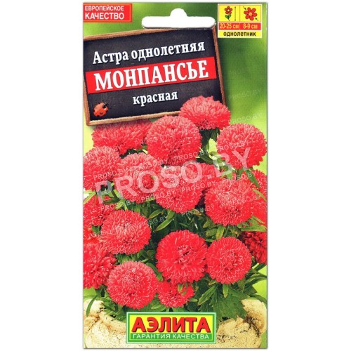 Астра Монпансье красная