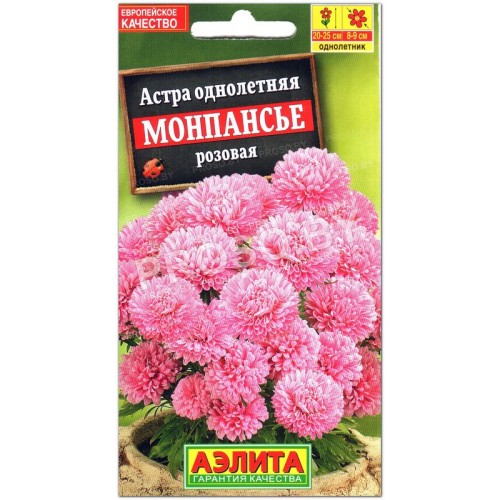 Астра Монпансье розовая